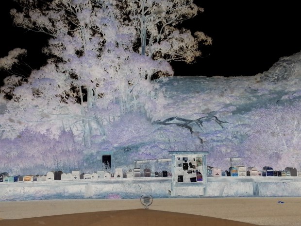 CADILLACS & MAILBOXES